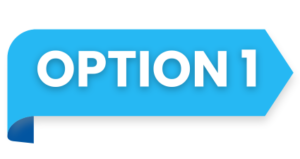 Option 1